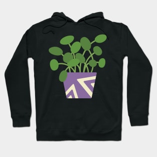 Chinese Money Plant Hoodie